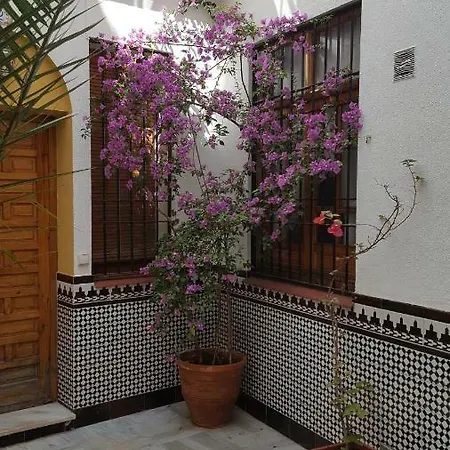 דירה Casa Tipica Cordobesa קורדובה